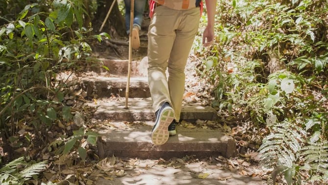 Your Guide to Summer Hikes and Nature Trails Near Seattle