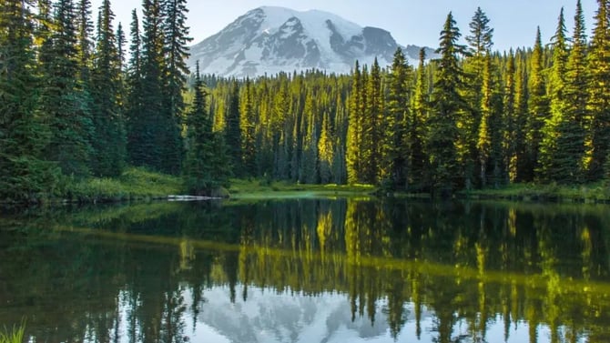 The Ultimate Guide to Scenic Drives Around Seattle for Weekend Explorers